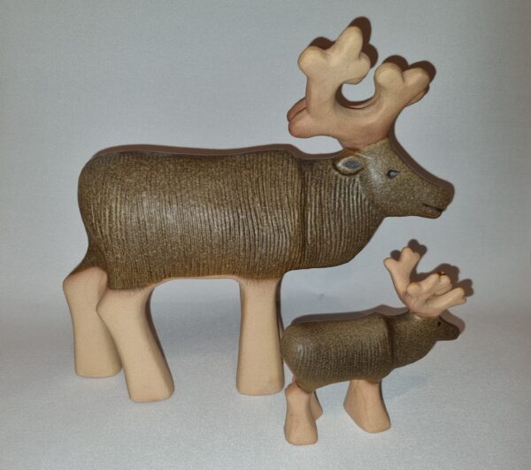 Stora renen & lilla renen - Bild 2
