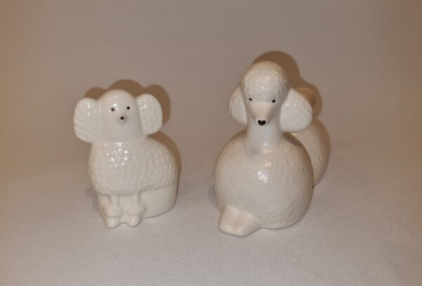 Vit pudel stor & liten - Bild 4