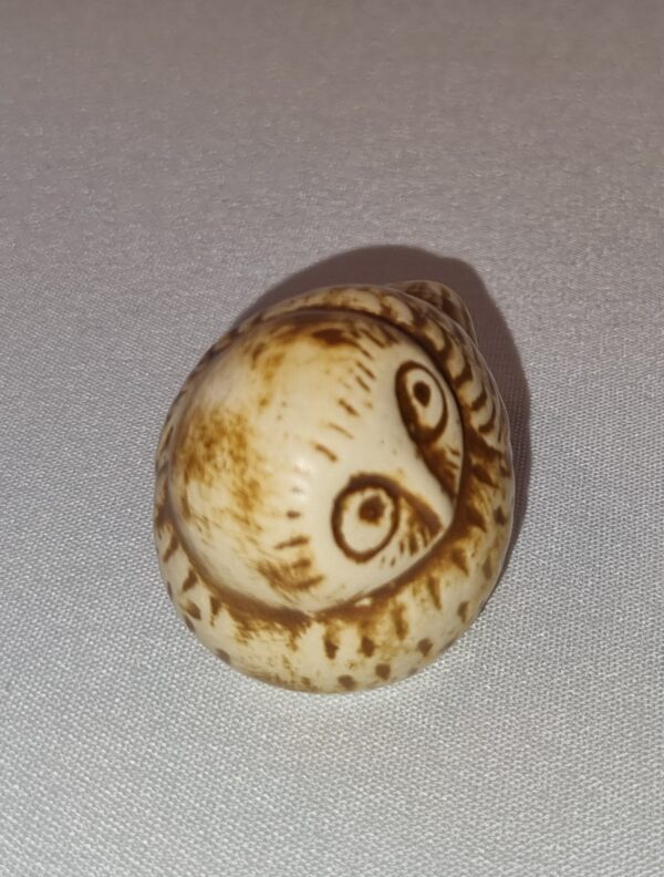 Uggla brun – Mini Zoo - Bild 2